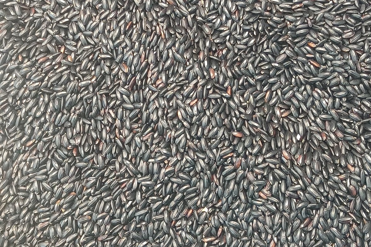 一碗黑米